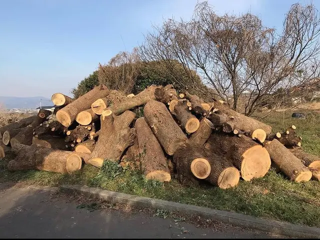 ＜業界歴10年の実績＞女性スタッフも活躍中♪損害保険加入済みで安心です！サービスの画像