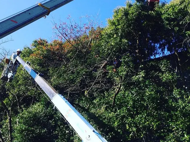 ＜業界歴10年の実績＞女性スタッフも活躍中♪損害保険加入済みで安心です！サービスの画像