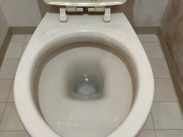 【女性スタッフ活躍中！】ていねいに仕上げます！安心の損害保険加入店サービスの画像