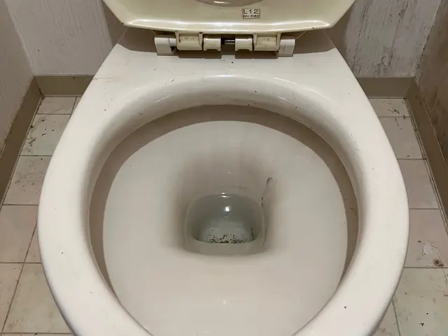 【女性スタッフ活躍中！】ていねいに仕上げます！安心の損害保険加入店サービスの画像