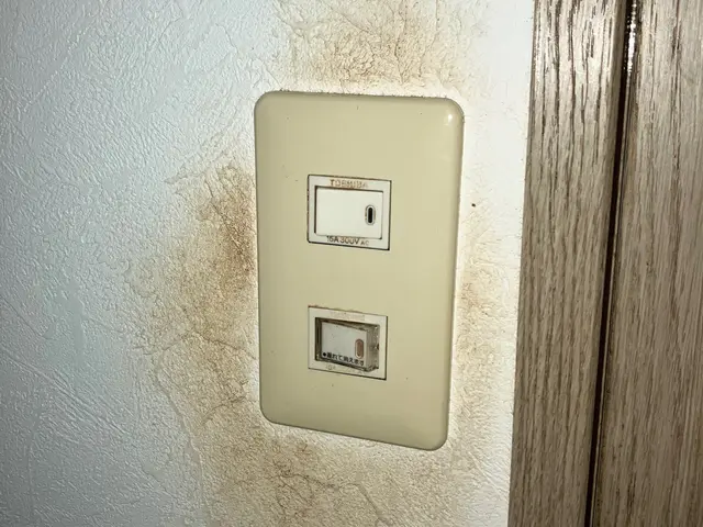 【女性スタッフ活躍中！】ていねいに仕上げます！安心の損害保険加入店サービスの画像