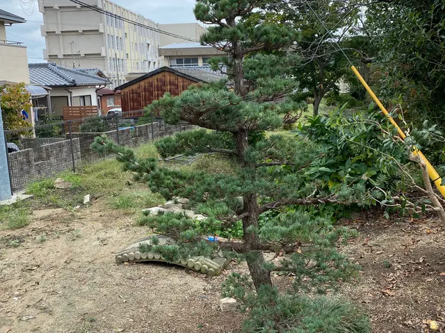 剪定、伐採、草刈り、綺麗で丁寧な仕事をさせていただきます！サービスの画像