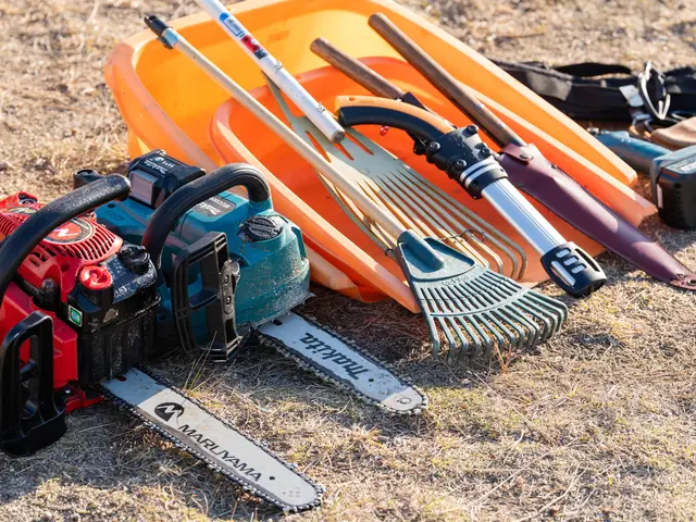 剪定、伐採、草刈り、綺麗で丁寧な仕事をさせていただきます！サービスの画像