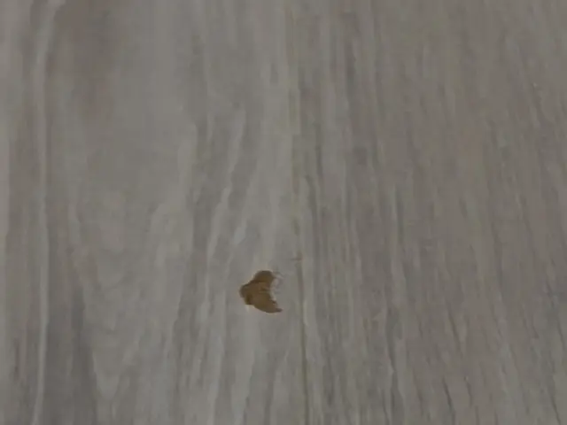 【地元山梨出身で地域密着】適正価格でクオリティの高いサービスをご提供しておりますサービスの画像