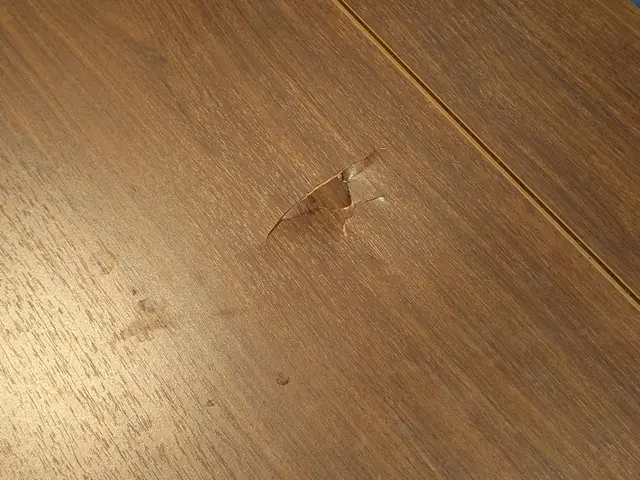 室内ドア補修リペアサービス　ご予約前にお写真必須です。サービスの画像