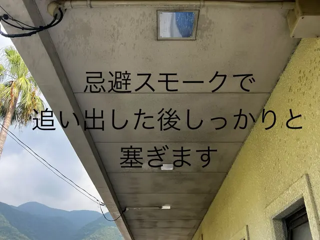 作業外注一切なし◎小さな黒い糞が落ちていたら一度お問い合わせを☆サービスの画像