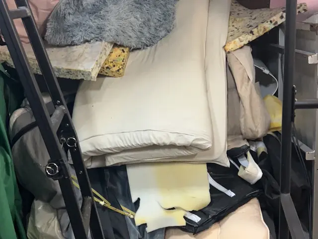 お写真で簡単確認！当日対応可.中国語ok，業界歴5年，大量もok！なんでも回収可サービスの画像