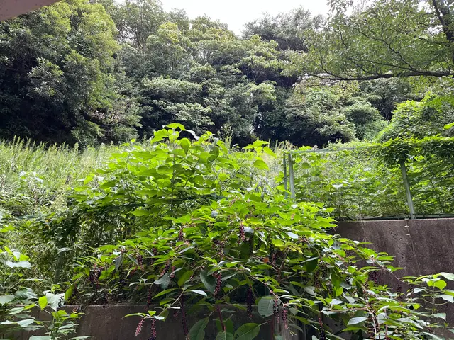 お客様から信頼いただけるよう、一つ一つの作業を迅速丁寧に対応します！サービスの画像