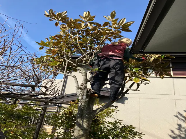 【１月６日～OK！】年間作業数300件のプロが伺います！オンラインカード可◎サービスの画像