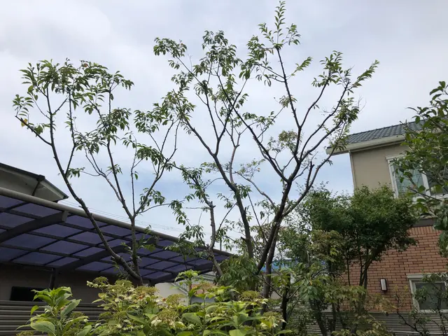 【１月６日～OK！】年間作業数300件のプロが伺います！オンラインカード可◎サービスの画像