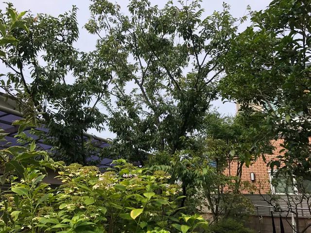 【１月６日～OK！】年間作業数300件のプロが伺います！オンラインカード可◎サービスの画像