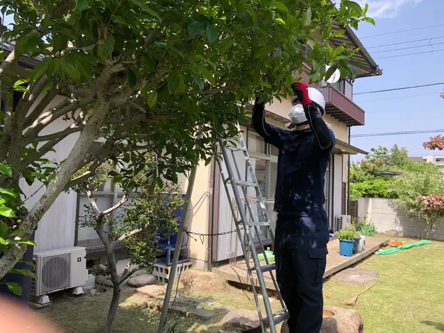 【７月２１日～OK！】年間作業数300件のプロが伺います！オンラインカード可◎サービスの画像