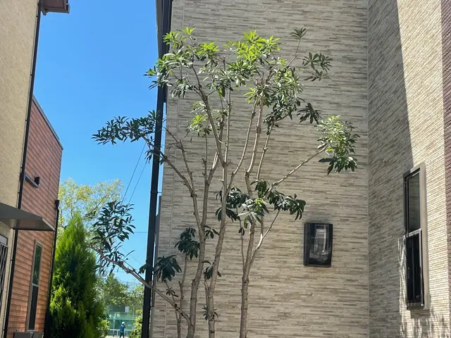 【１月６日～OK！】年間作業数300件のプロが伺います！オンラインカード可◎サービスの画像