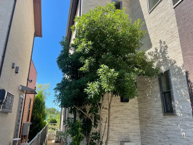 【１月６日～OK！】年間作業数300件のプロが伺います！オンラインカード可◎サービスの画像