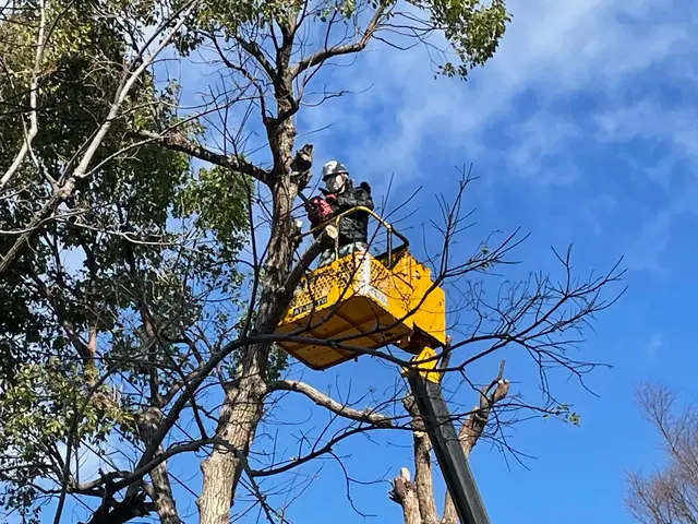【１月６日～OK！】年間作業数300件のプロが伺います！オンラインカード可◎サービスの画像