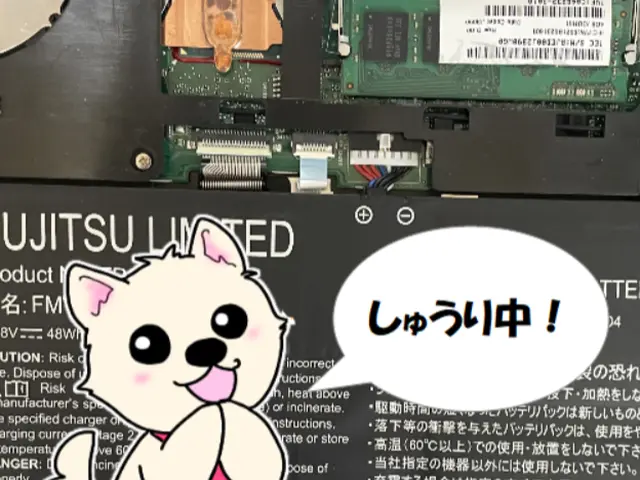 こぐまのパソコンウィルス診断/除去パックサービスの画像