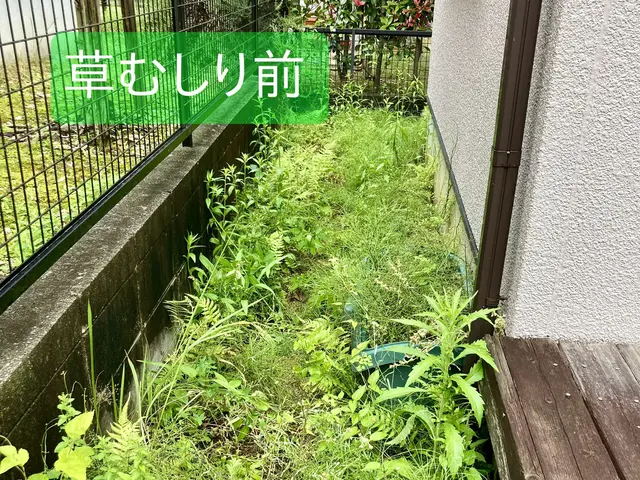 ★お庭・空き家・アパートなど★女性目線で綺麗にします☆サービスの画像