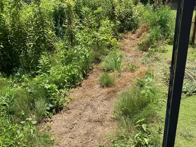 ★お庭・空き家・アパートなど★女性目線で綺麗にします☆サービスの画像