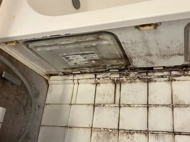 セットがお得！カビも水アカも徹底除去！サービスの画像