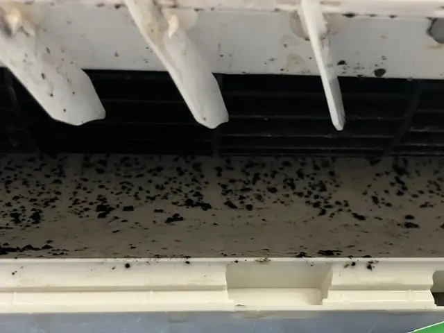 家庭用壁かけエアコンクリーニングサービスの画像