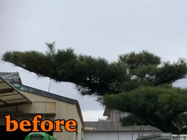 《業歴28年》職人親子でお伺い！スピーディーで丁寧な作業！電子マネー・QR決済可サービスの画像