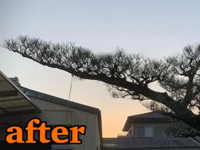 《業歴28年》職人親子でお伺い！スピーディーで丁寧な作業！電子マネー・QR決済可サービスの画像