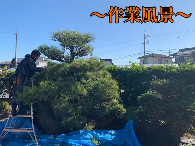 《業歴28年》職人親子でお伺い！スピーディーで丁寧な作業！電子マネー・QR決済可サービスの画像