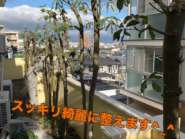 《業歴28年》職人親子でお伺い！スピーディーで丁寧な作業！電子マネー・QR決済可サービスの画像