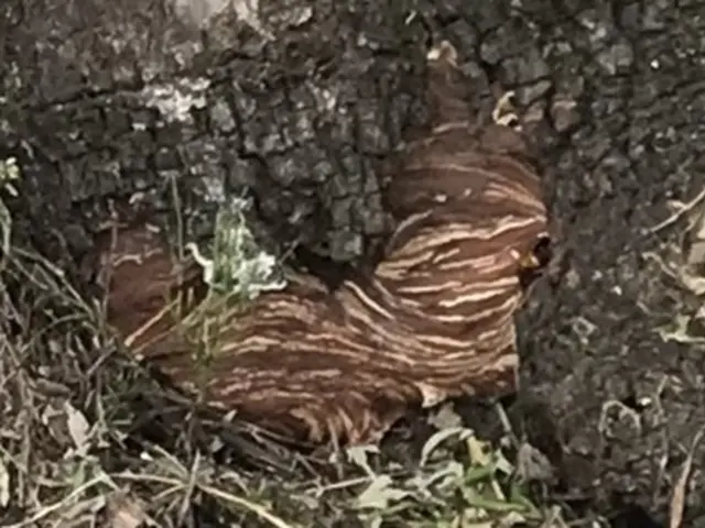 被害が出る前に！お任せください！緊急対応！安心価格！地元のお店が安心！サービスの画像