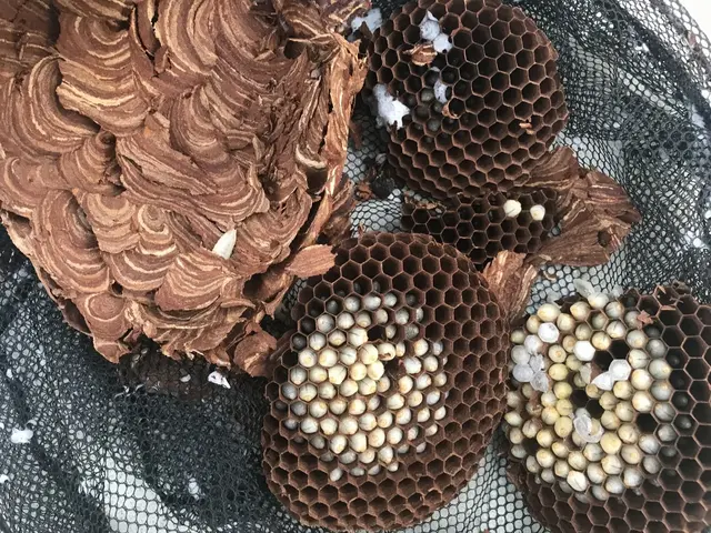 被害が出る前に！お任せください！緊急対応！安心価格！地元のお店が安心！サービスの画像