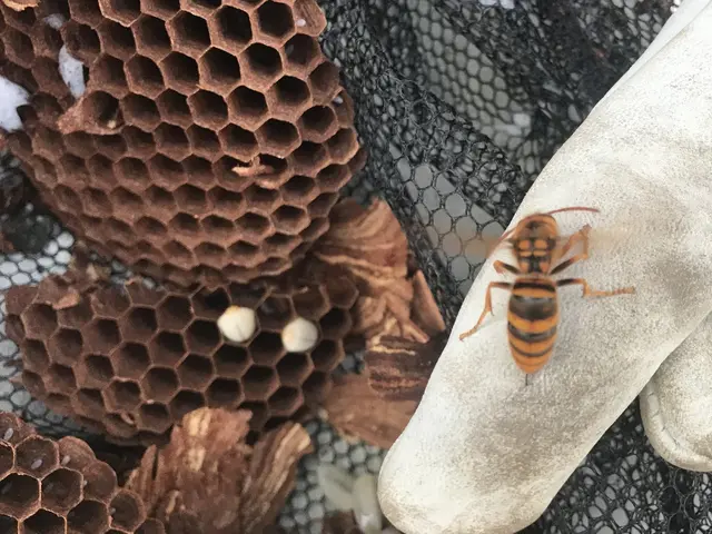 被害が出る前に！お任せください！緊急対応！安心価格！地元のお店が安心！サービスの画像