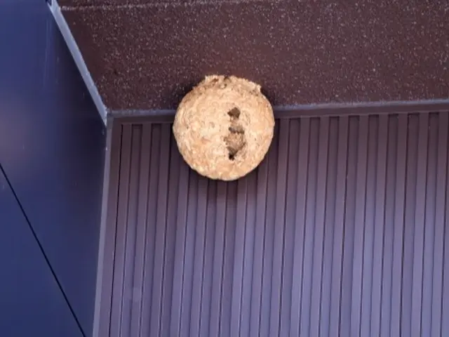 被害が出る前に！お任せください！緊急対応！安心価格！地元のお店が安心！サービスの画像