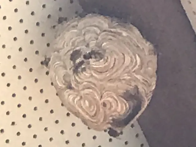 被害が出る前に！お任せください！緊急対応！安心価格！地元のお店が安心！サービスの画像