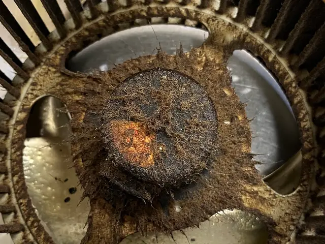 【女性2人で伺います！】年末大掃除キャンペーン開催中★☆まだ空き枠あります！サービスの画像