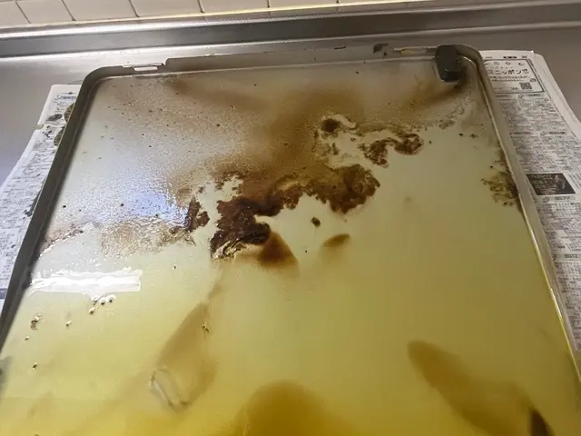 【女性2人で伺います！】年末大掃除キャンペーン開催中★☆まだ空き枠あります！サービスの画像