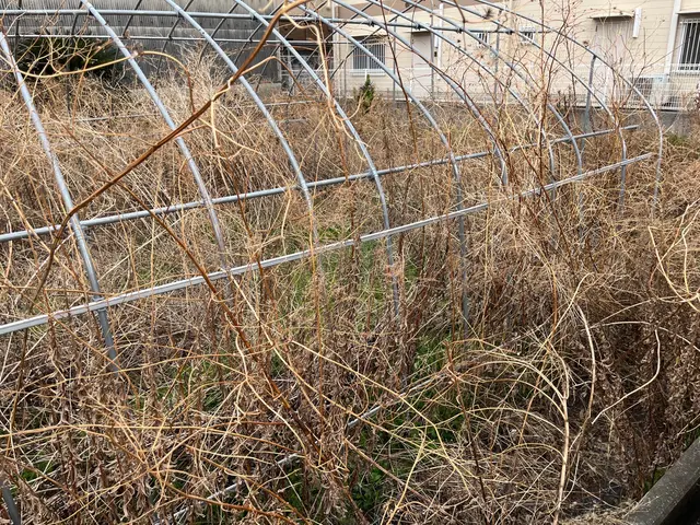 只今冬季★お値下げ中★【6年の実績と70件以上の施工】◎ベテラン社員2名在中サービスの画像