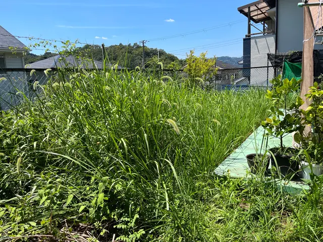 只今冬季★お値下げ中★【6年の実績と70件以上の施工】◎ベテラン社員2名在中サービスの画像