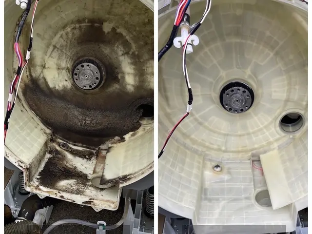 2025大掃除レスキュー祭！細かく、早く、丁寧に。プロのドラム式分解クリーニングサービスの画像