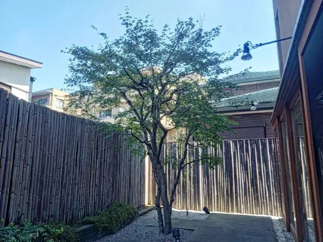 地域密着型の植木屋です○庭の悩みお気軽にご相談しながらお庭を綺麗に○良いご縁を○サービスの画像