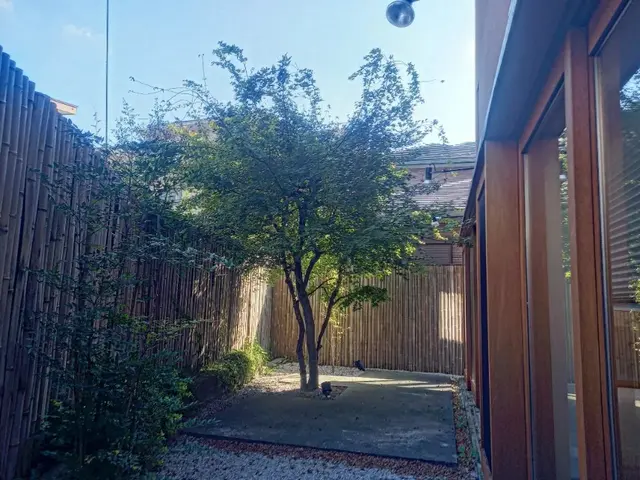 地域密着型の植木屋です○庭の悩みお気軽にご相談しながらお庭を綺麗に○良いご縁を○サービスの画像