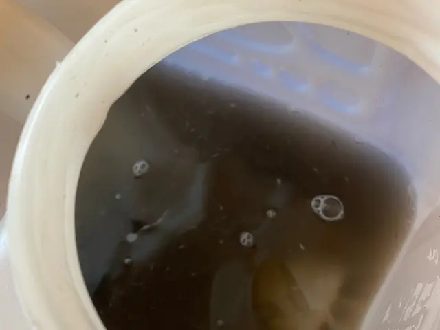 ★追加料金一切無し★現金払いで消臭抗菌コート無料★営業時間外も対応可サービスの画像