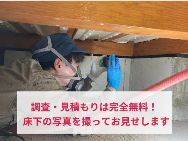 事前調査10月31日～☆工事11月20日～☆最高品質のシロアリ駆除サービスサービスの画像
