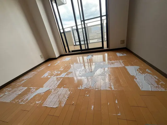 夏休み特別キャンペーン中！ピカピカハウスクリーニング！サービスの画像
