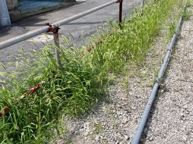 【年中無休】土日祝もご予約大歓迎！女性スタッフ同行可能！サービスの画像