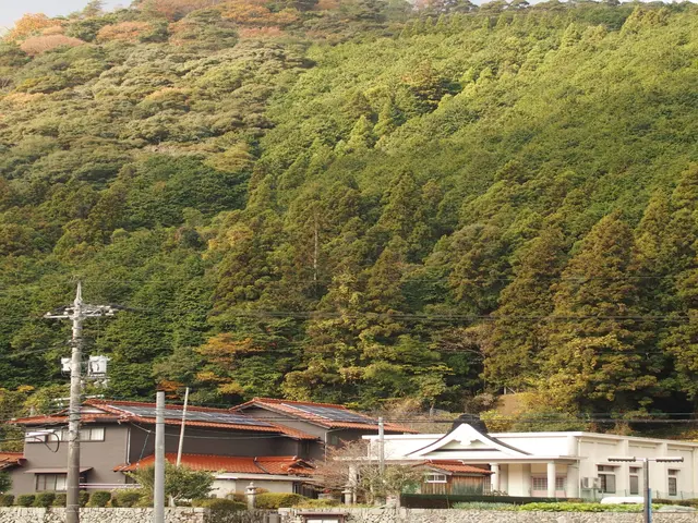 浄土真宗本願寺派です。宗派を気にされない方も対応します。サービスの画像