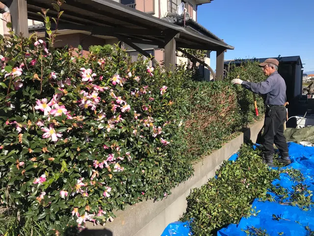 ◆予約から施工まで100%自社対応◆大手業務経験あり◆仕上がり保証ありサービスの画像