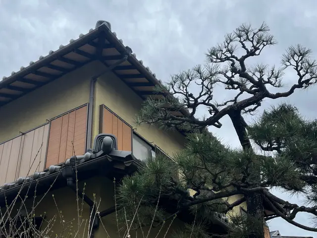 庭木のお困り事なら当店へ！サービスの画像