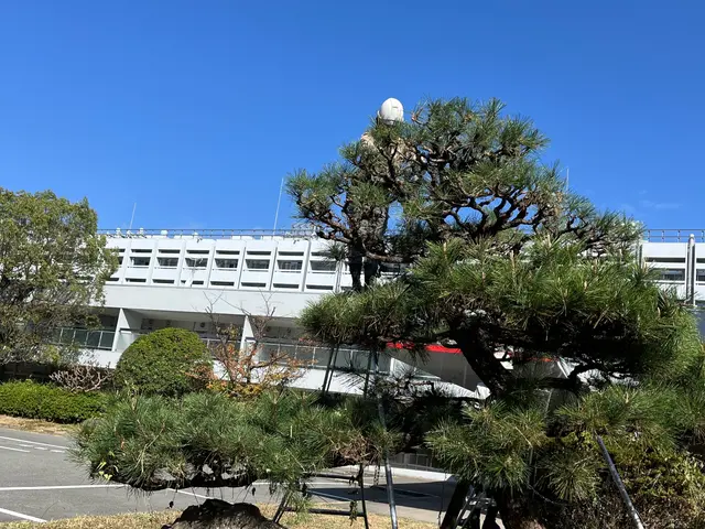 庭木のお困り事なら当店へ！サービスの画像