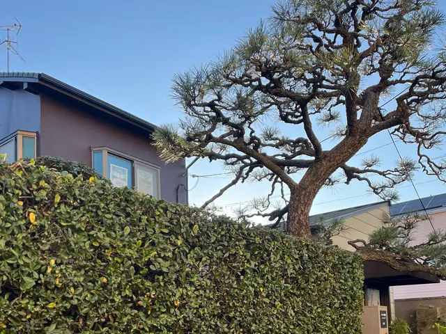 庭木のお困り事なら当店へ！サービスの画像