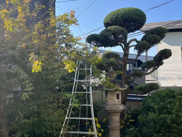 庭木のお困り事なら当店へ！サービスの画像